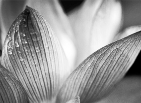 安卓ddos攻击工具